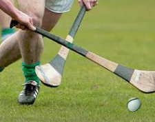 Juvenile Hurlers Just Pipped