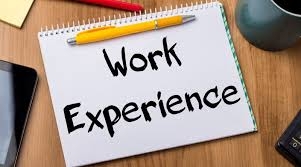 5th Year Work Experience